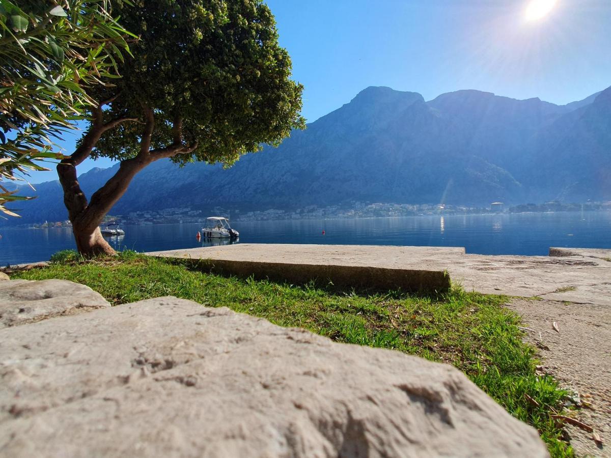 Apartman Pontica Kotor Exteriér fotografie