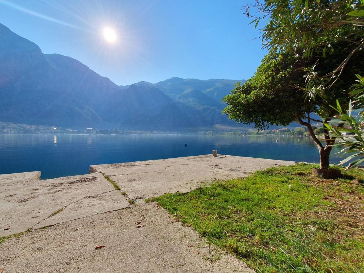 Apartman Pontica Kotor Exteriér fotografie