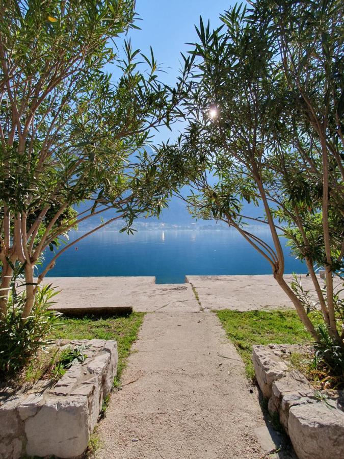 Apartman Pontica Kotor Exteriér fotografie