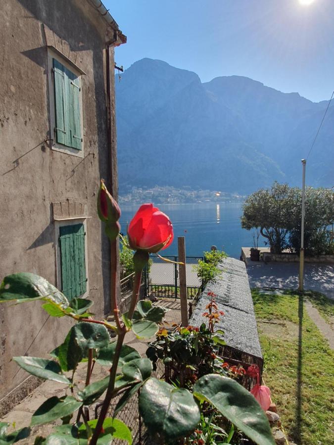 Apartman Pontica Kotor Exteriér fotografie