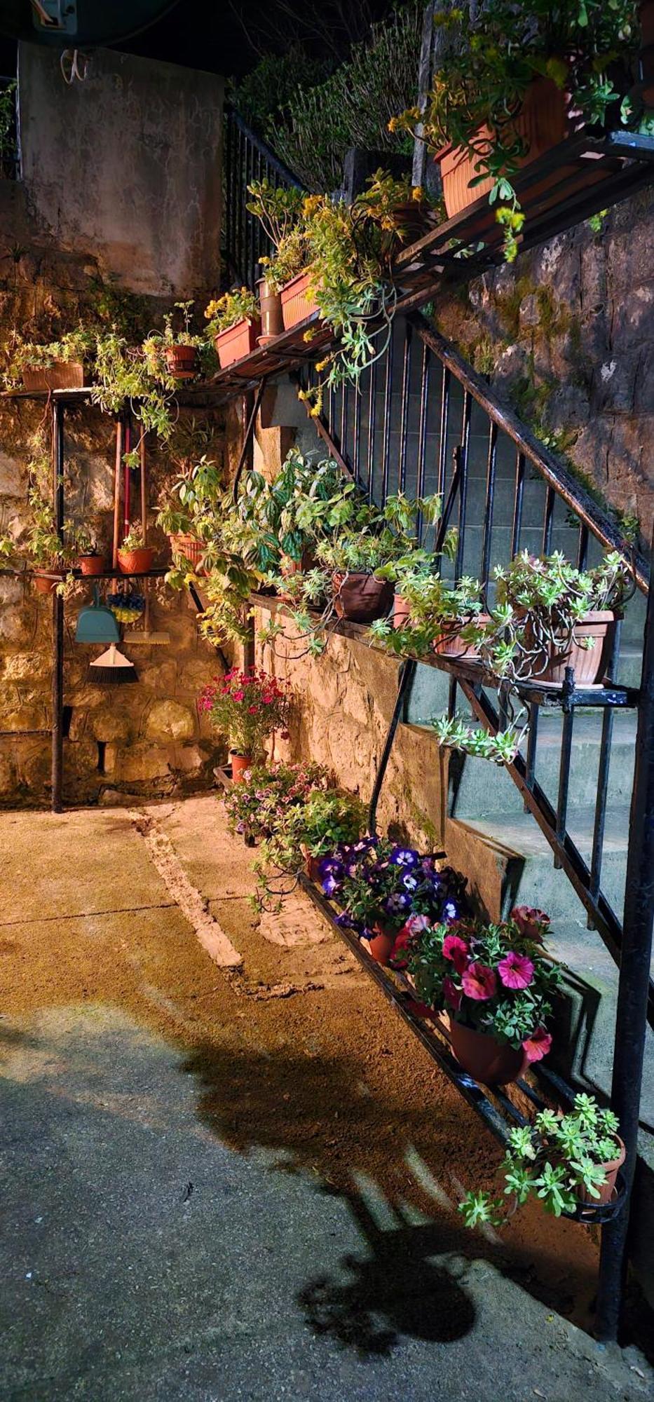 Apartman Pontica Kotor Exteriér fotografie