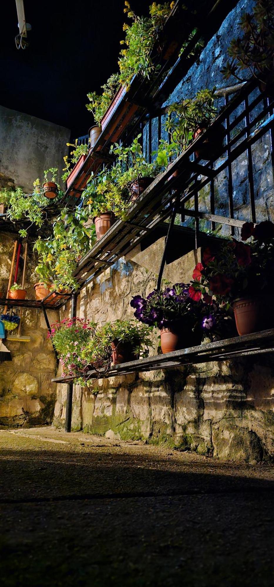 Apartman Pontica Kotor Exteriér fotografie